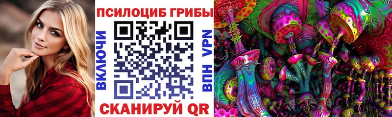 Галлюциногенные грибы Magic Shrooms  как найти закладки  Светлогорск 